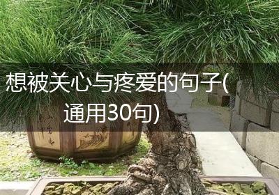 想被关心与疼爱的句子(通用30句)