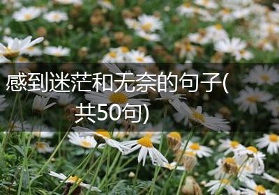 感到迷茫和无奈的句子(共50句)