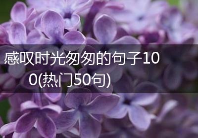 感叹时光匆匆的句子100(热门50句)