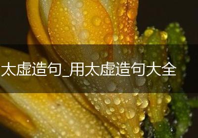 太虚造句_用太虚造句大全