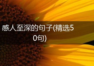 感人至深的句子(精选50句)