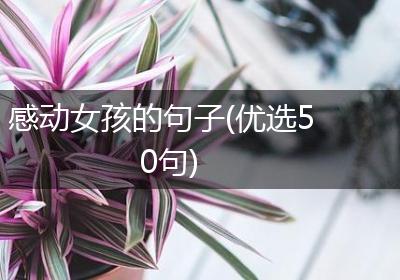 感动女孩的句子(优选50句)