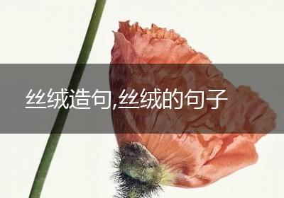 丝绒造句,丝绒的句子