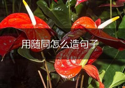 用随同怎么造句子