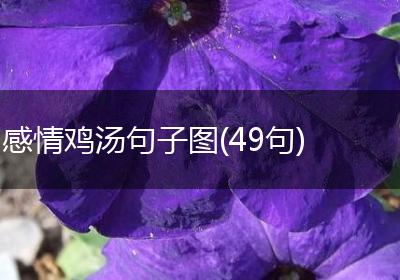感情鸡汤句子图(49句)