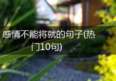 感情不能将就的句子(热门10句)