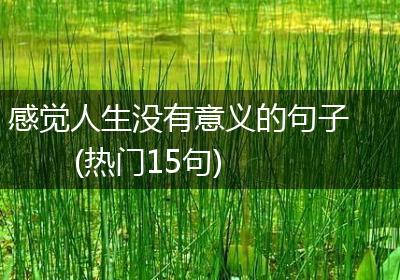 感觉人生没有意义的句子(热门15句)