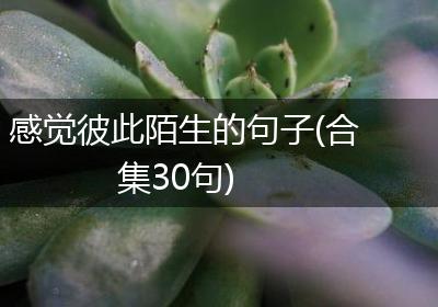 感觉彼此陌生的句子(合集30句)