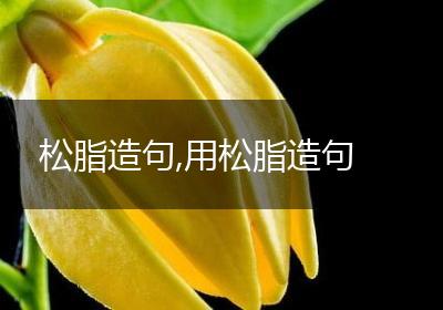 松脂造句,用松脂造句