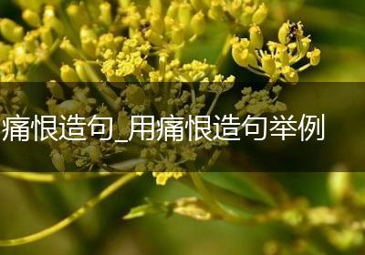 痛恨造句_用痛恨造句举例