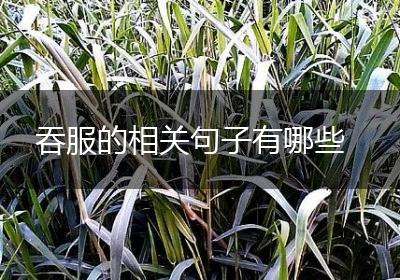 吞服的相关句子有哪些