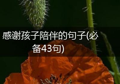 感谢孩子陪伴的句子(必备43句)
