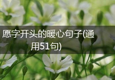 愿字开头的暖心句子(通用51句)