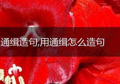 通缉造句,用通缉怎么造句