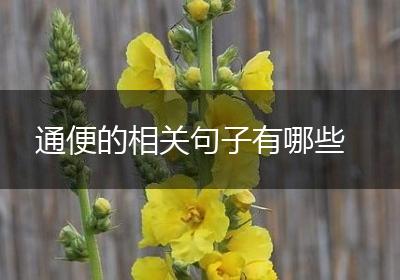 通便的相关句子有哪些