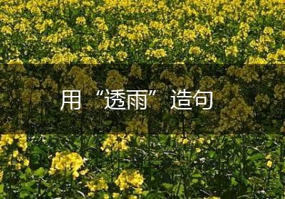 用“透雨”造句