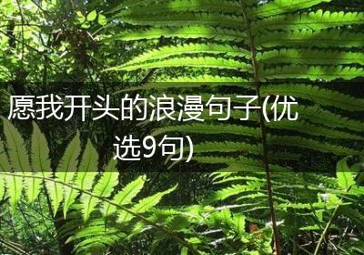 愿我开头的浪漫句子(优选9句)
