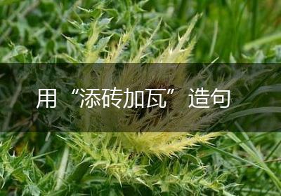 用“添砖加瓦”造句