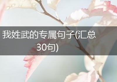 我姓武的专属句子(汇总30句)