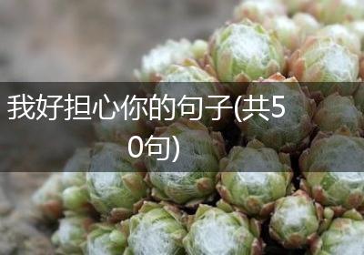 我好担心你的句子(共50句)
