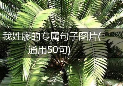 我姓廖的专属句子图片(通用50句)