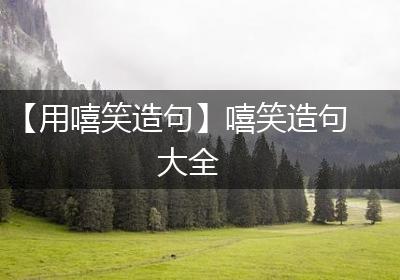 【用嘻笑造句】嘻笑造句大全