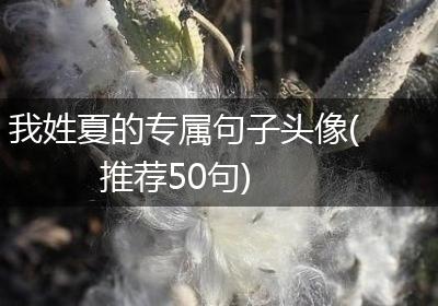我姓夏的专属句子头像(推荐50句)