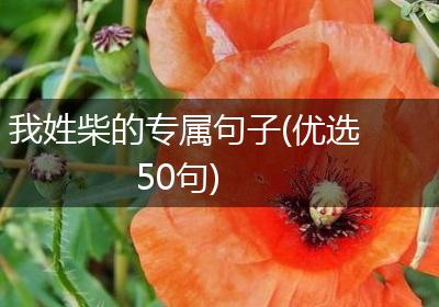 我姓柴的专属句子(优选50句)