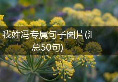 我姓冯专属句子图片(汇总50句)