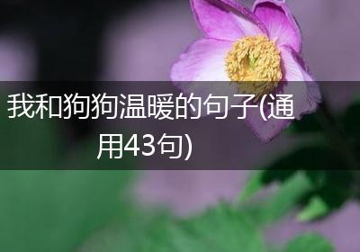 我和狗狗温暖的句子(通用43句)