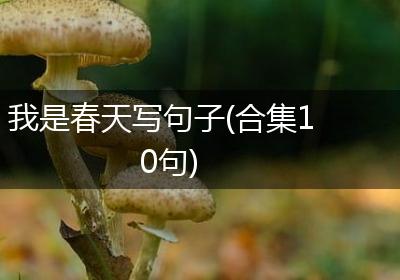 我是春天写句子(合集10句)