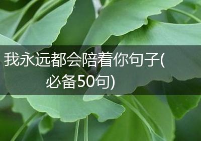 我永远都会陪着你句子(必备50句)