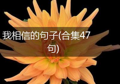 我相信的句子(合集47句)