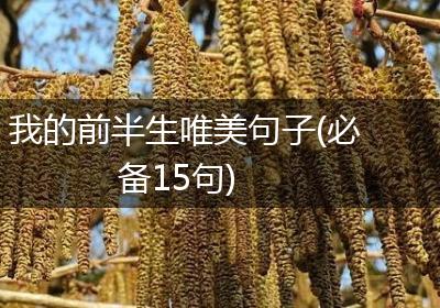 我的前半生唯美句子(必备15句)