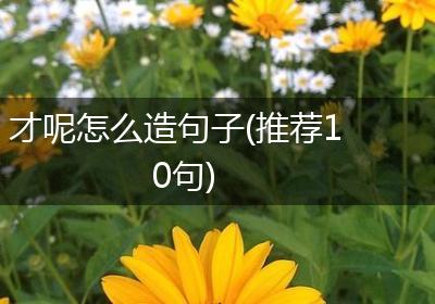 才呢怎么造句子(推荐10句)