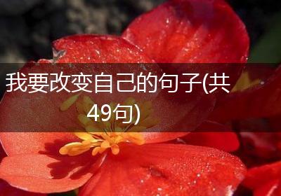 我要改变自己的句子(共49句)