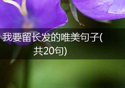 我要留长发的唯美句子(共20句)