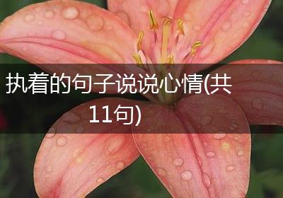 执着的句子说说心情(共11句)