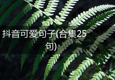 抖音可爱句子(合集25句)