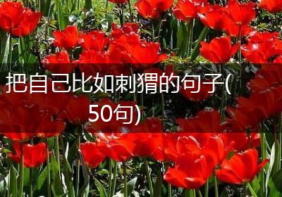 把自己比如刺猬的句子(50句)
