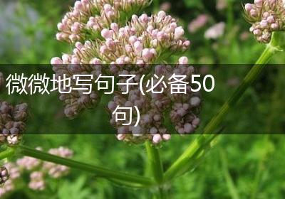 微微地写句子(必备50句)