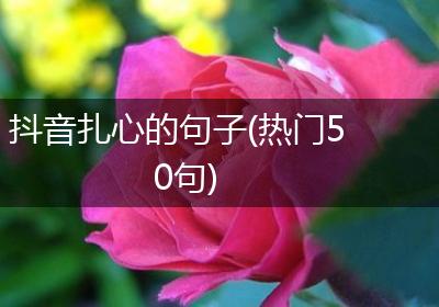 抖音扎心的句子(热门50句)