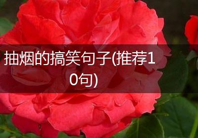 抽烟的搞笑句子(推荐10句)