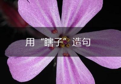 用“瞎子”造句