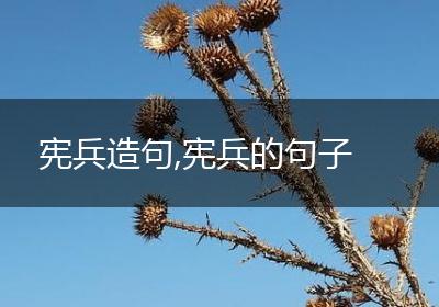 宪兵造句,宪兵的句子