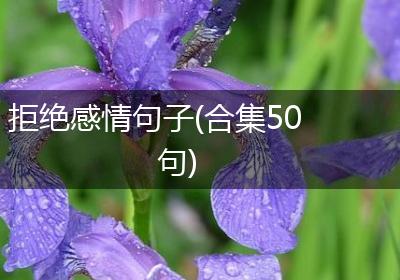 拒绝感情句子(合集50句)