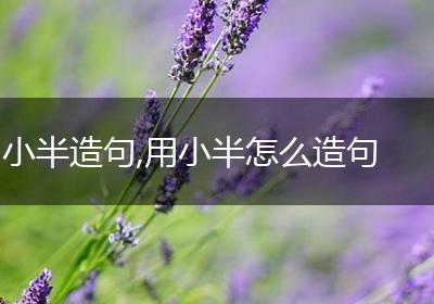 小半造句,用小半怎么造句
