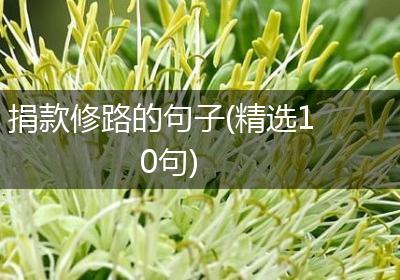捐款修路的句子(精选10句)