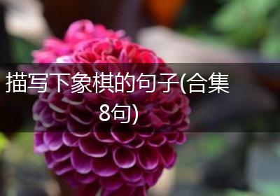 描写下象棋的句子(合集8句)
