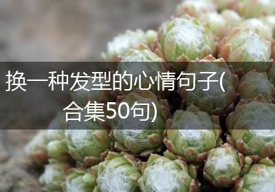 换一种发型的心情句子(合集50句)
